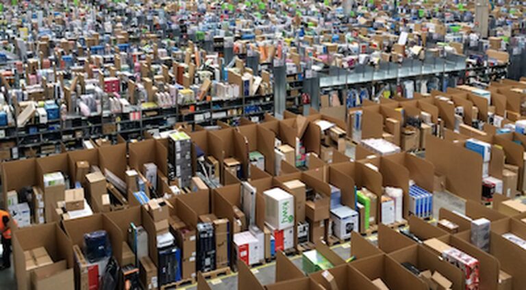 Is Amazon the Borg? We Asked Their Workers (LA Review of Books)